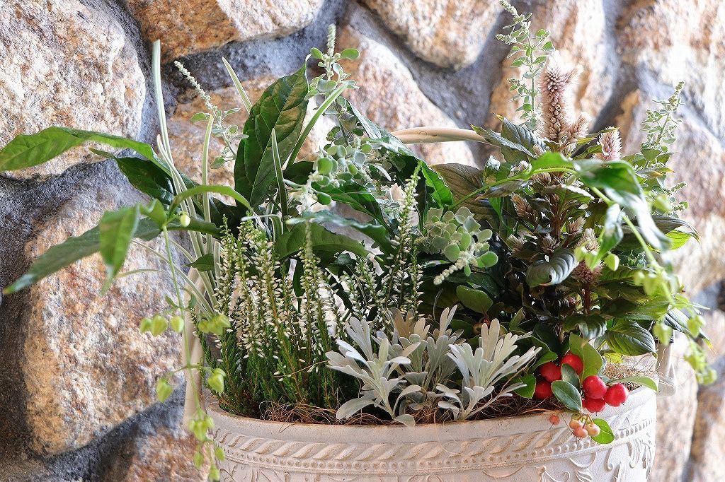 当店オリジナル 持ち手付き♪秋の草花のエレガントスタイル寄せ植え 現品１９５ STEELWINDOWSANDDOORS_COM