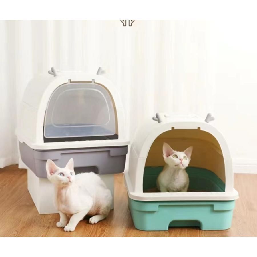 猫 トイレ