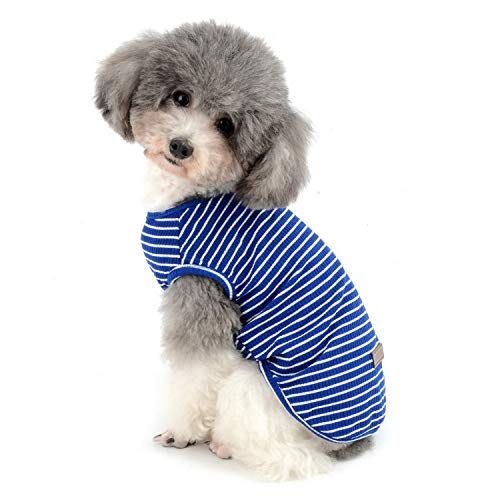 Mサイズ (x 1)_ブルー ZUNEA ペット 犬服 Tシャツ 夏 ボーダー柄 ベスト 涼しい 小型犬 柔らかい 綿製 タンクトップ 猫服 おしゃれ かわいい シャツ 脱毛保護 ひんやり ドッグウェア 子犬 洋服 お
