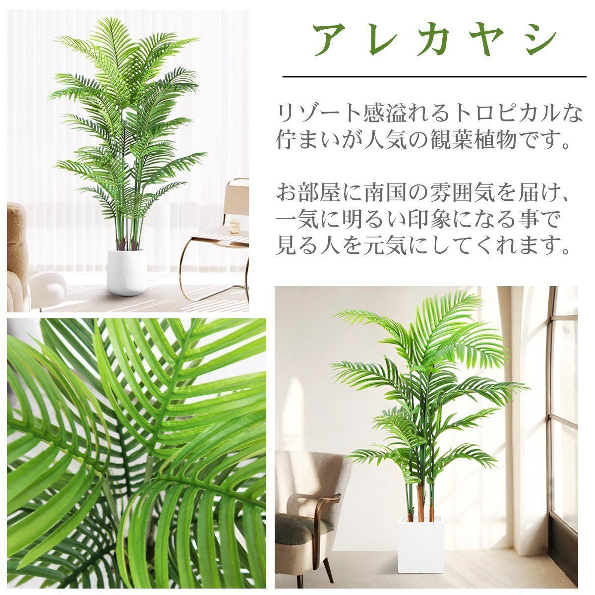 鉢付き リアル