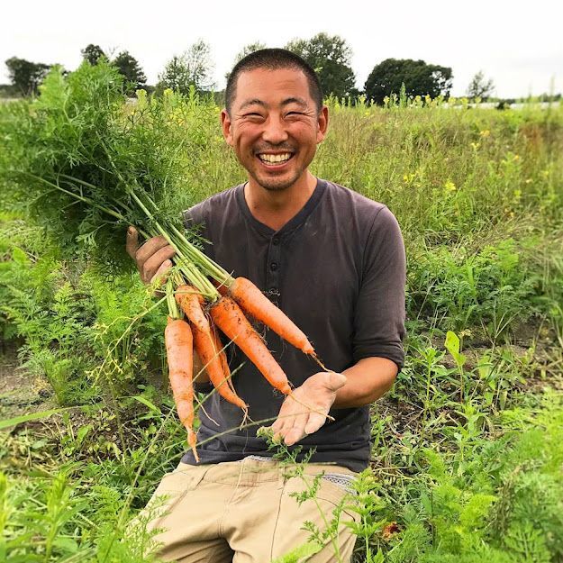 ヤマト便 固定種の人参 8kg 草をご飯にミミズや微生物を育てる自然栽培