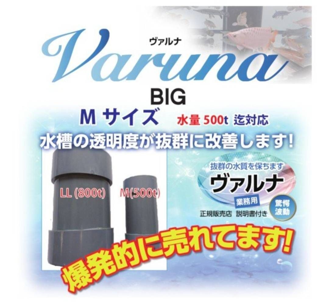 とにかく水質が良くなります！ヴァルナ☆有害物質除去、透明度アップに