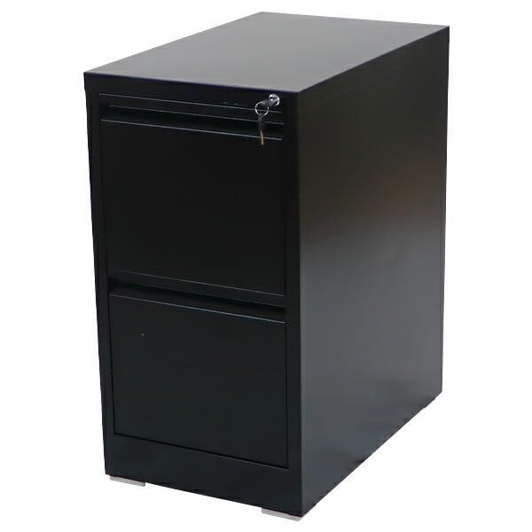 ファイルキャビネット 2段 完成品 A4 鍵付き 全段一括施錠 stlsf2d ブラック