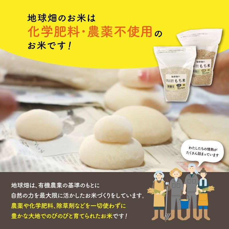 もち米　玄米　専用 餅米 新米
