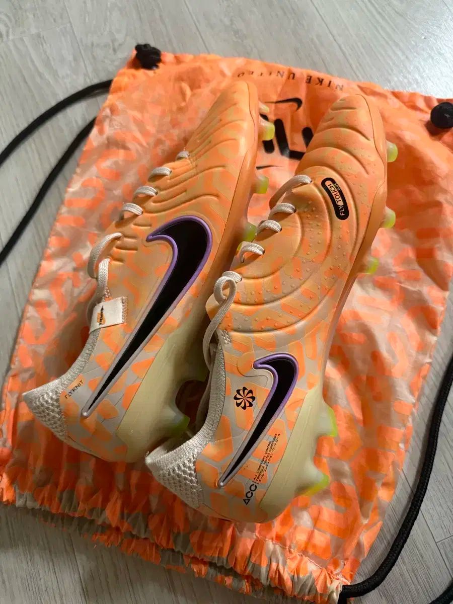 ティエンポ レジェンド10