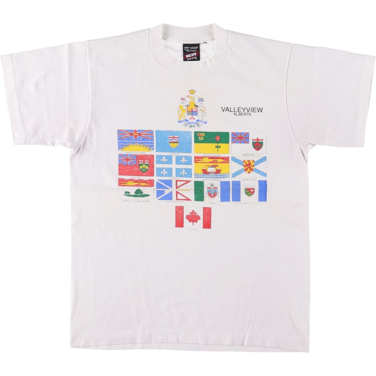 古着 90年代 フルーツオブザルーム FRUIT OF THE LOOM カナダ州旗 国旗柄 プリントTシャツ カナダ製 メンズM相当 ヴィンテージ|eaa542794
