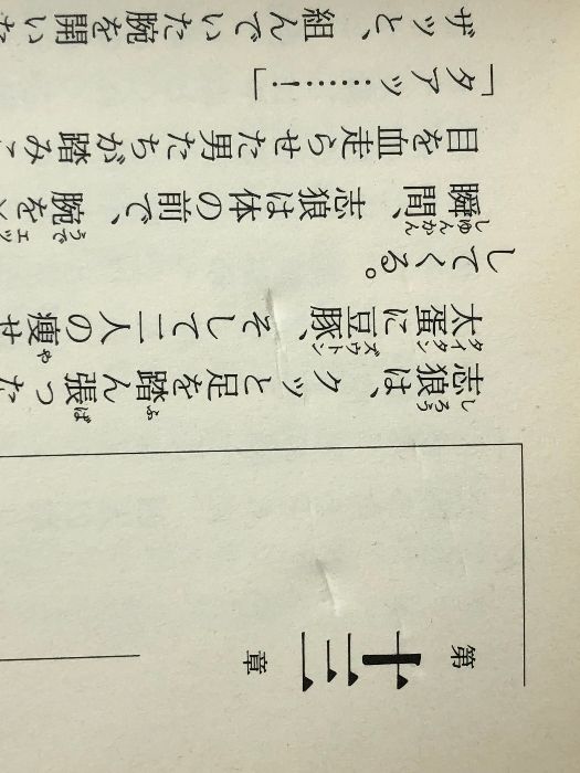 龍狼伝外伝〈3〉竜の子の負いし運命 (マガジンノベルス) - メルカリ