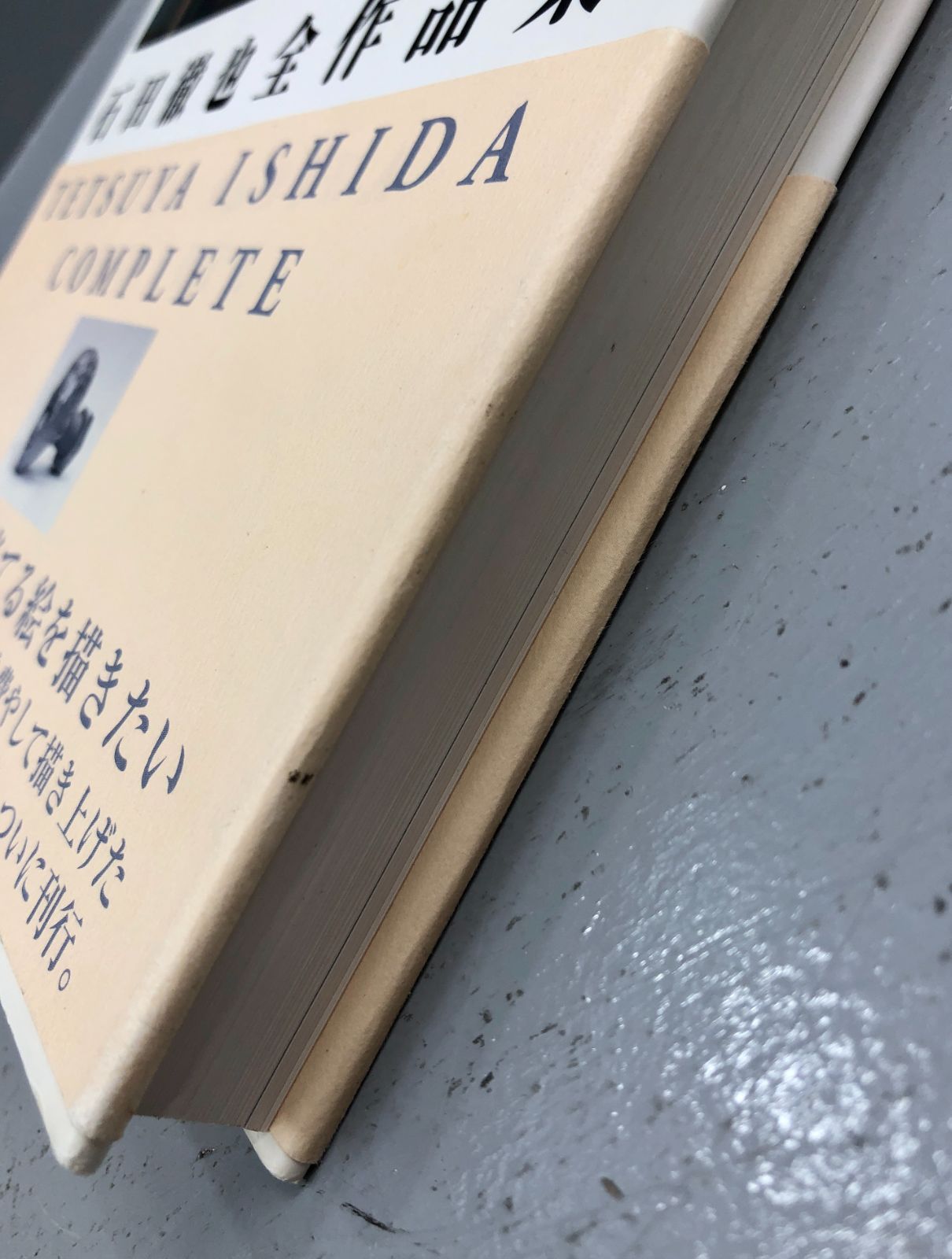 小牧店】石田徹也全作品集 TETSUYA ISHIDA COMPLETE【209-1313