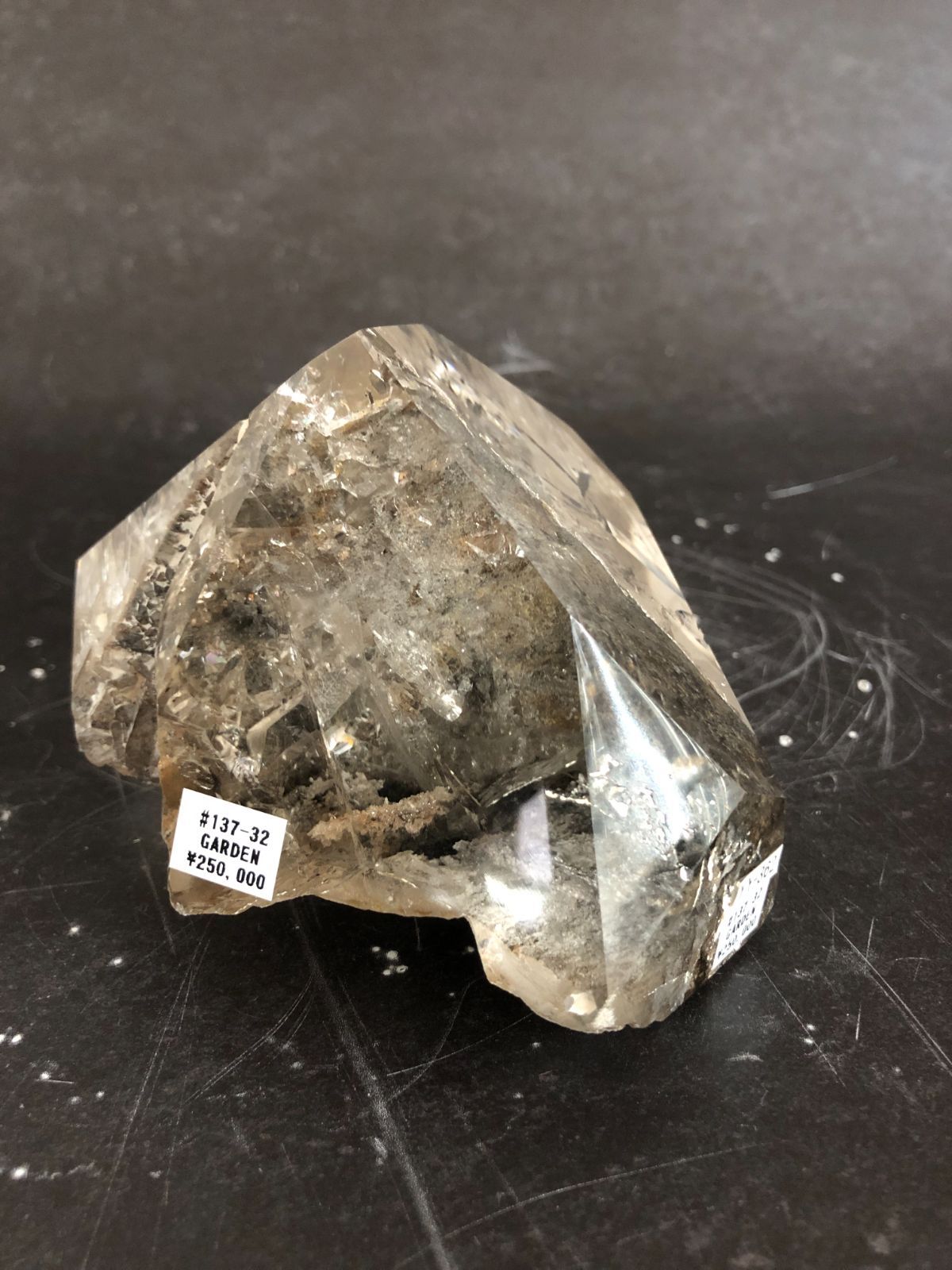 ガーデンルチルポイント ブラジル産