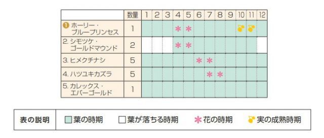 庭木 セット商品
