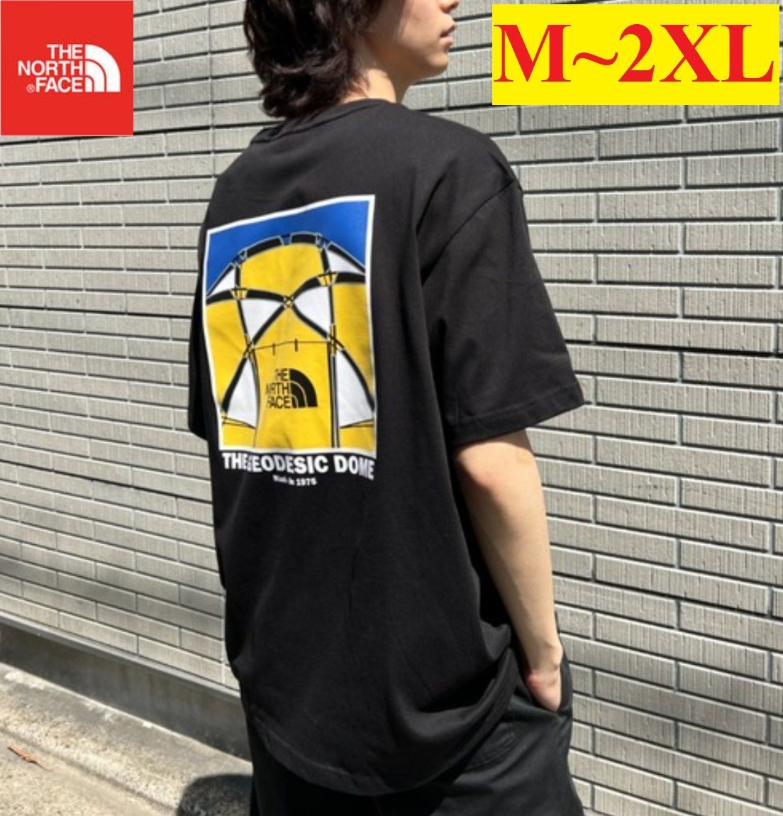 海外限定❗ノースフェイス Tシャツ バックプリント 半袖 ラウンドT