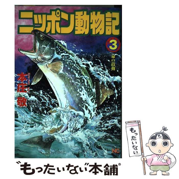 ラスト8 希少種 E.megacalix メガカリックス メキシコ輸入苗