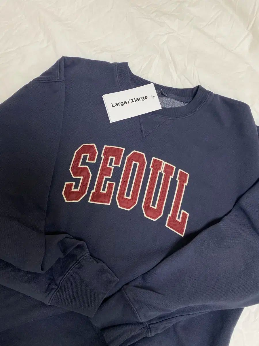 Brandy Melville ブランディー メルビル オーバーサイズ ソウル トレーナー