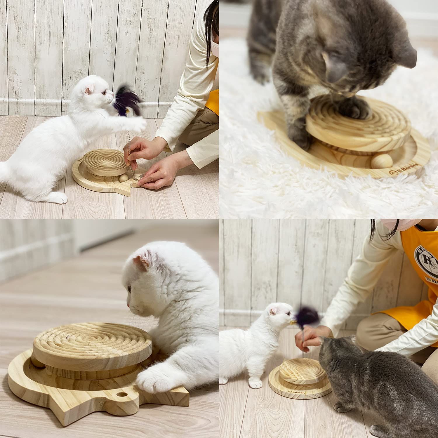数量 猫Heroes