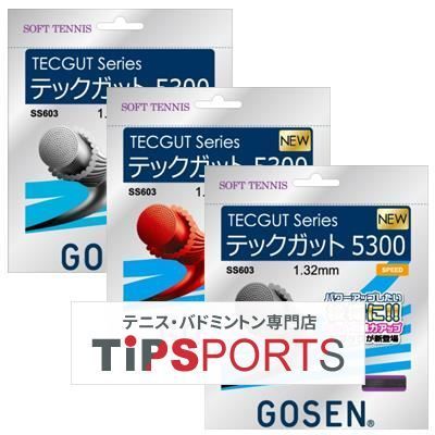 ゴーセン テックガット 5300 SS603 NA/ナチュラル 20個入り ゴーセン
