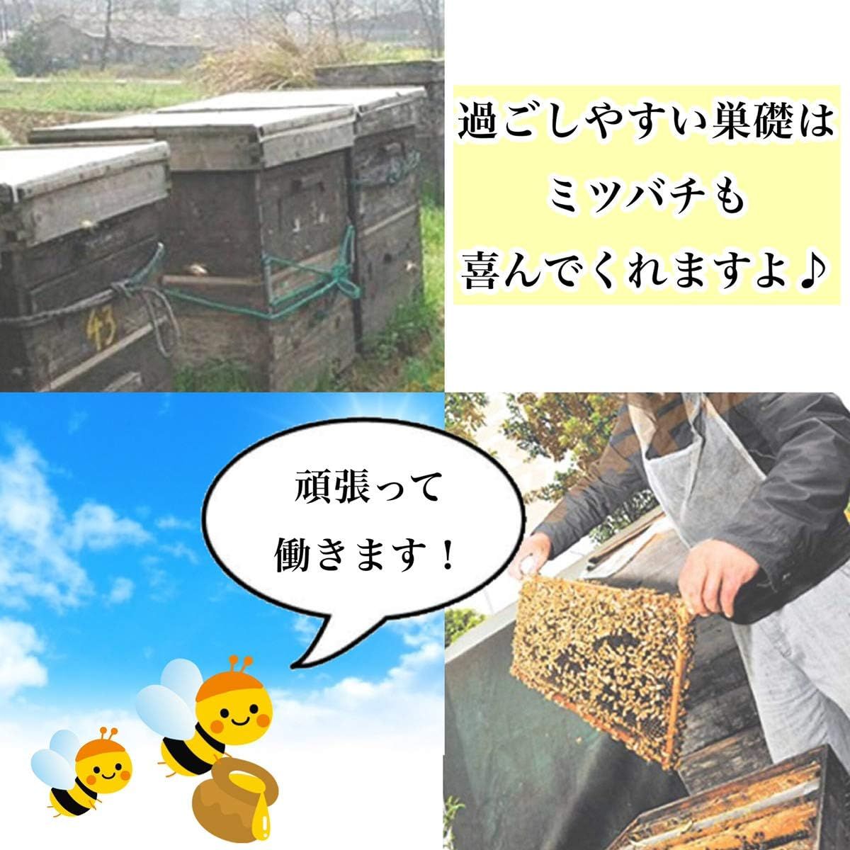 飼育