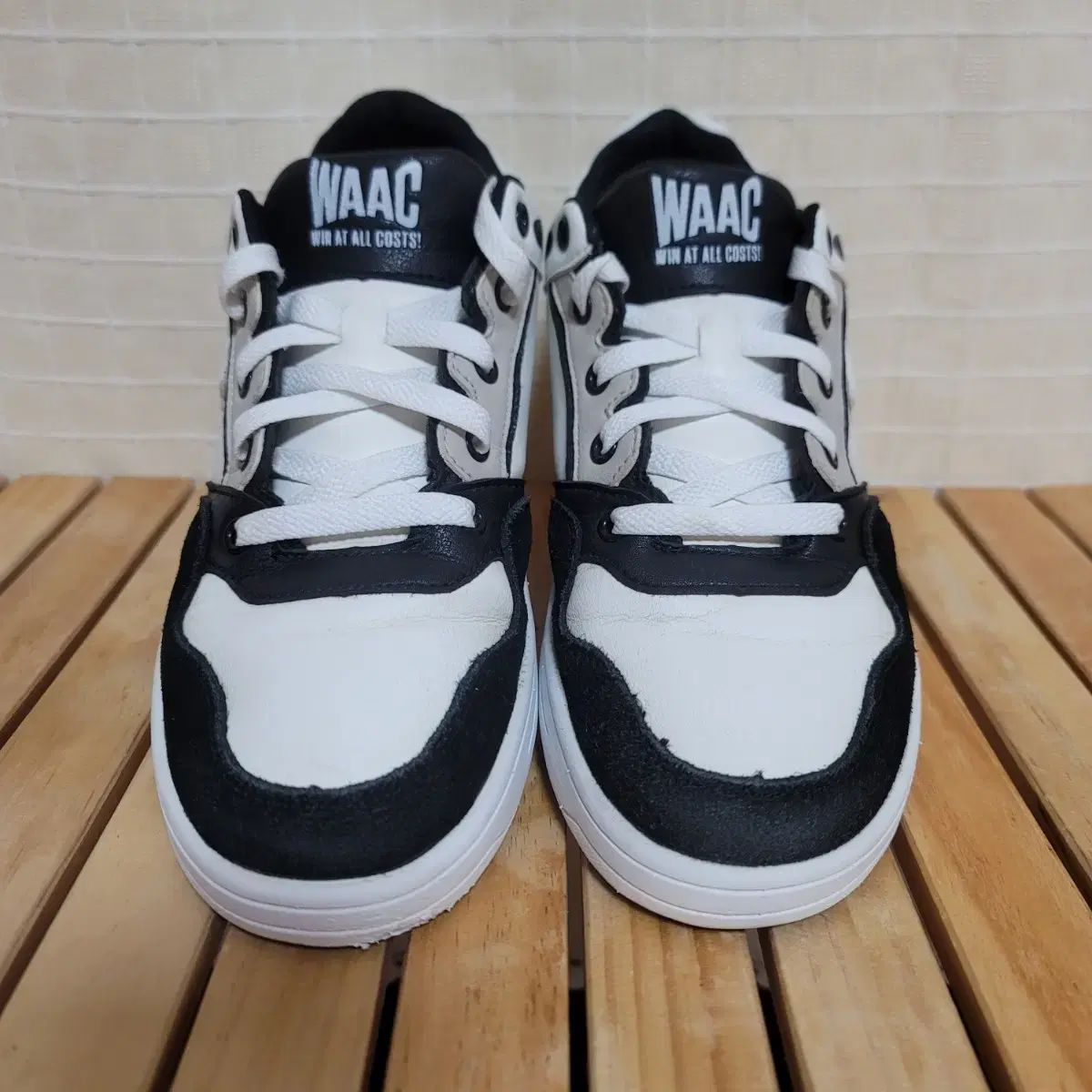 WAAC ワック ゴルフシューズ 240 LLC-HASEGAWATOSO_COM