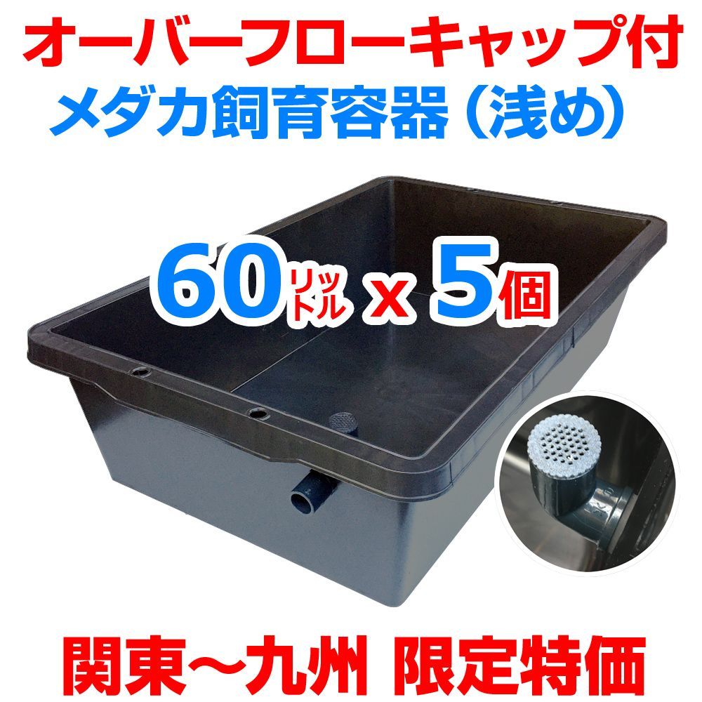 五色アクア メダカ飼育ケース 60㍑黒x5個 オーバーフローキャップ付 トロ舟 金魚飼育容器 らんちゅう 水草 ビオトープ メダカ水槽 産卵 台風対策  タライ プラ舟 金魚鉢【約82cmx約51cmx約20.7cm】（関東～九州への発送限定） - メルカリ