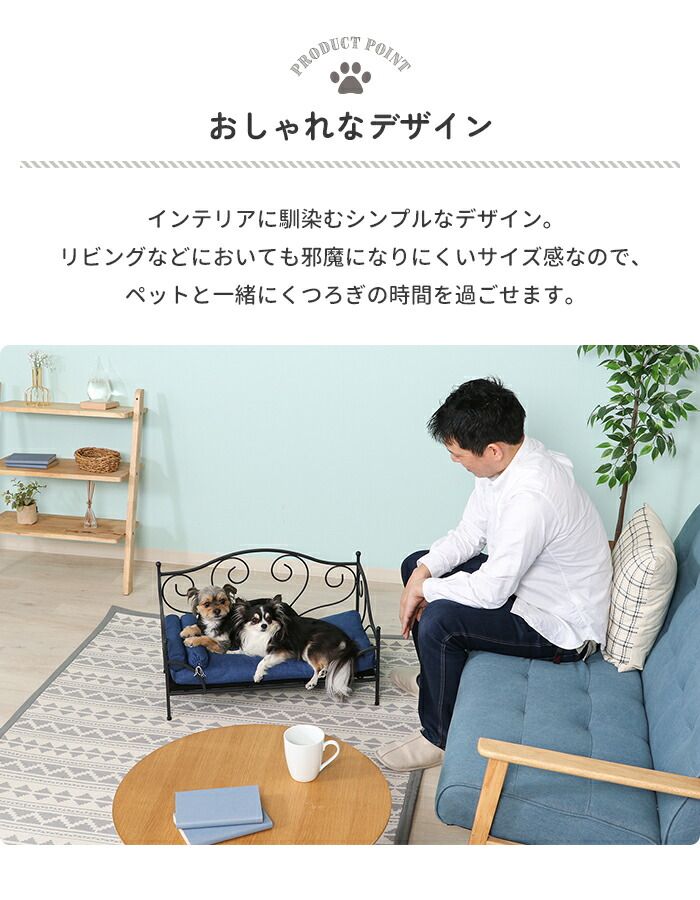 ワンちゃん かわいい