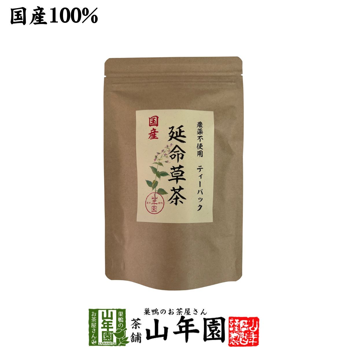 国産100% 無農薬 延命草茶 3g×15パック ティーパック ティーバッグ シソ科ヒキオコシ 送料無料 健康茶 妊婦 ダイエット セット ギフト プレゼント お歳暮 御歳暮 プチギフト お茶 2024 内祝い お返し