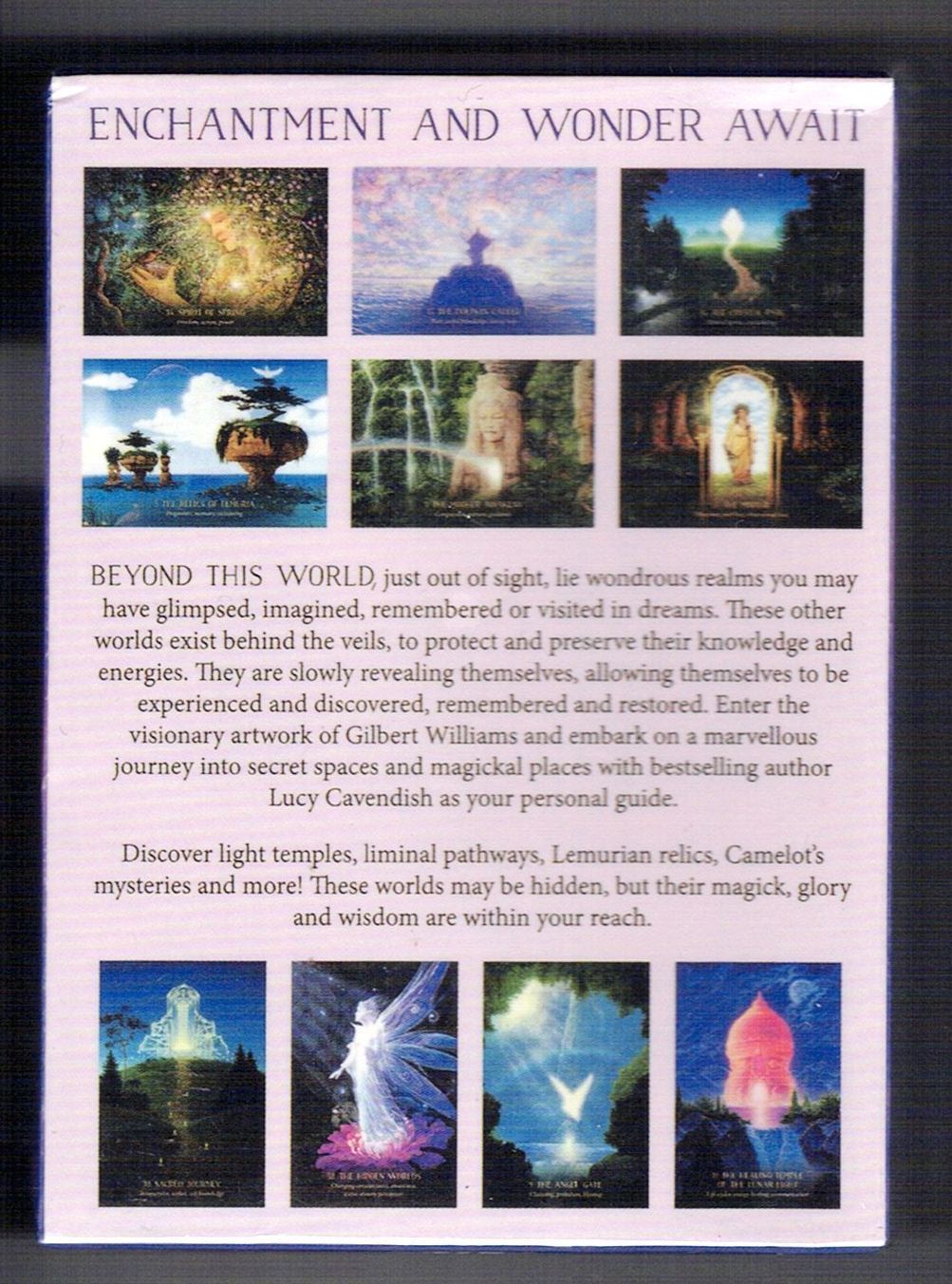 ★正規品オラクルカード★神秘的な世界観✨海外入手困難品✨美しい鳥達のデッキ 楽天市場】【初心者向け日本語ブックレット付】アメージング