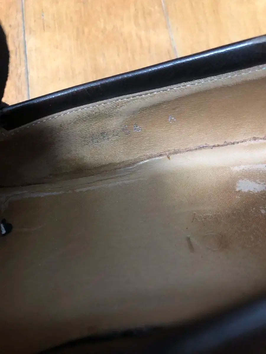ブラウン 250