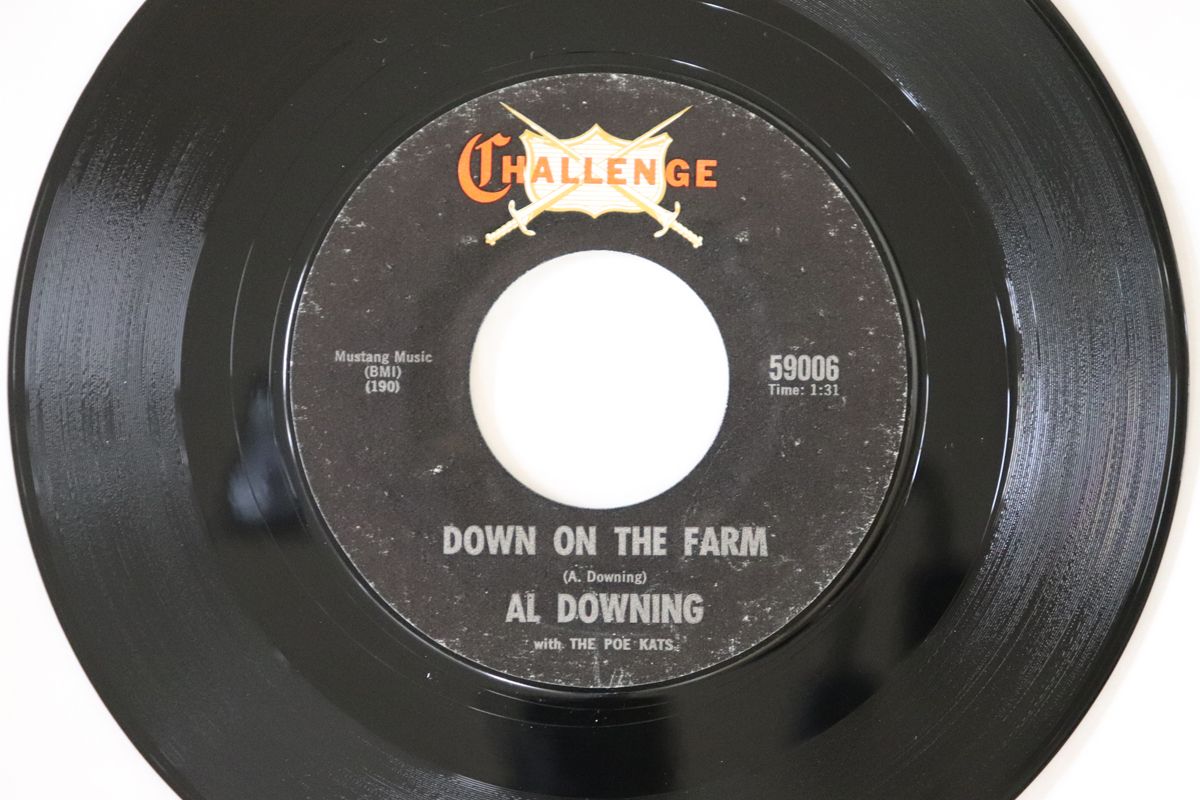 米7” Al Downing The Poe Kats Down On The Farm | Oh! Babe 59006 Challenge |00080