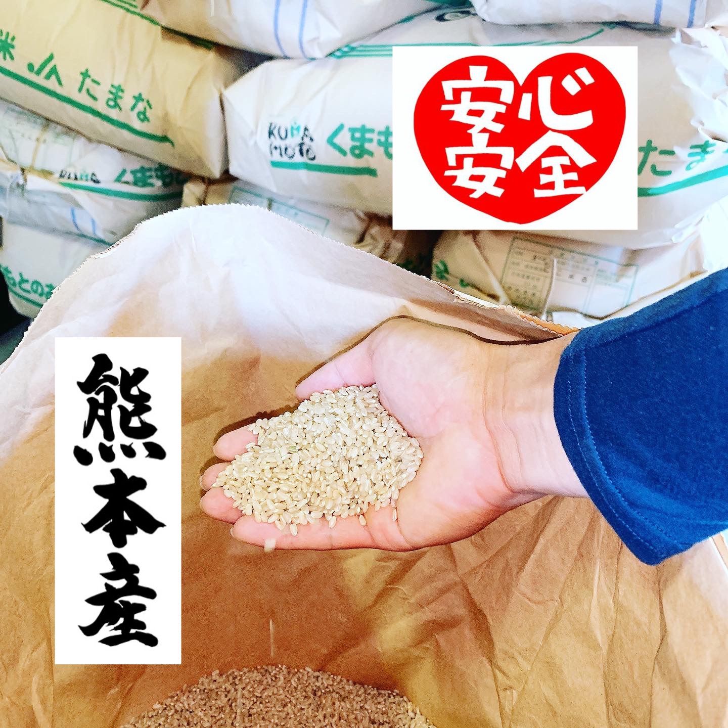 ホタル舞う熊本産お米25kg【新米】 - 農家直売‼️お米の西川農園