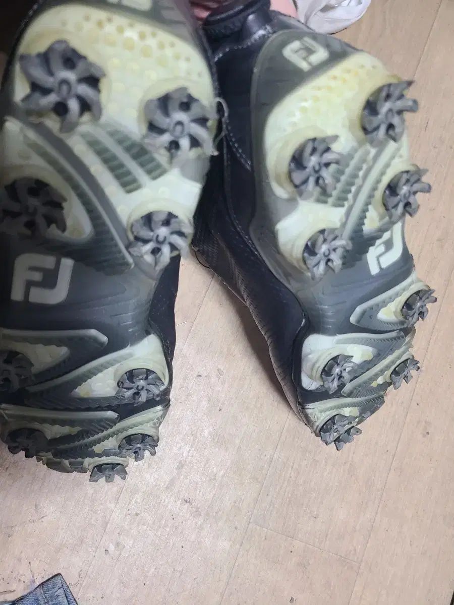 255 FootJoy(フットジョイ) ゴルフシューズ 新品 FJ プレミアシリーズ