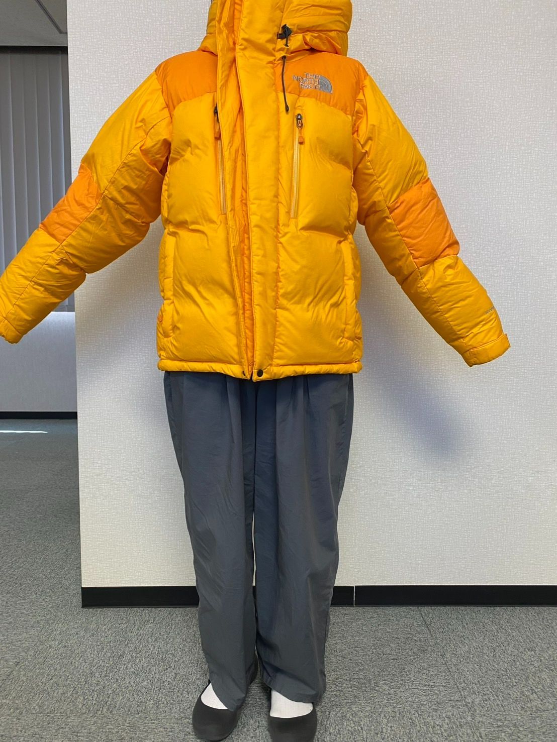 エルメス　ヴァンキャトル ゴールド　ディナープレート　27.5cm THE NORTH FACE ダウンジャケットフード付き 黄色 キッズ