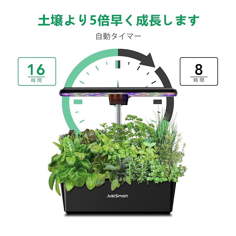 水耕栽培キット