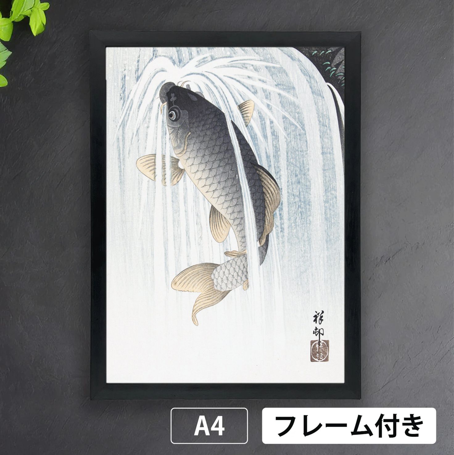 小原古邨「二匹の金魚」 【フレームサイズ 38cm × 29cm】版画 金魚二匹] - 東京国立近代美術館