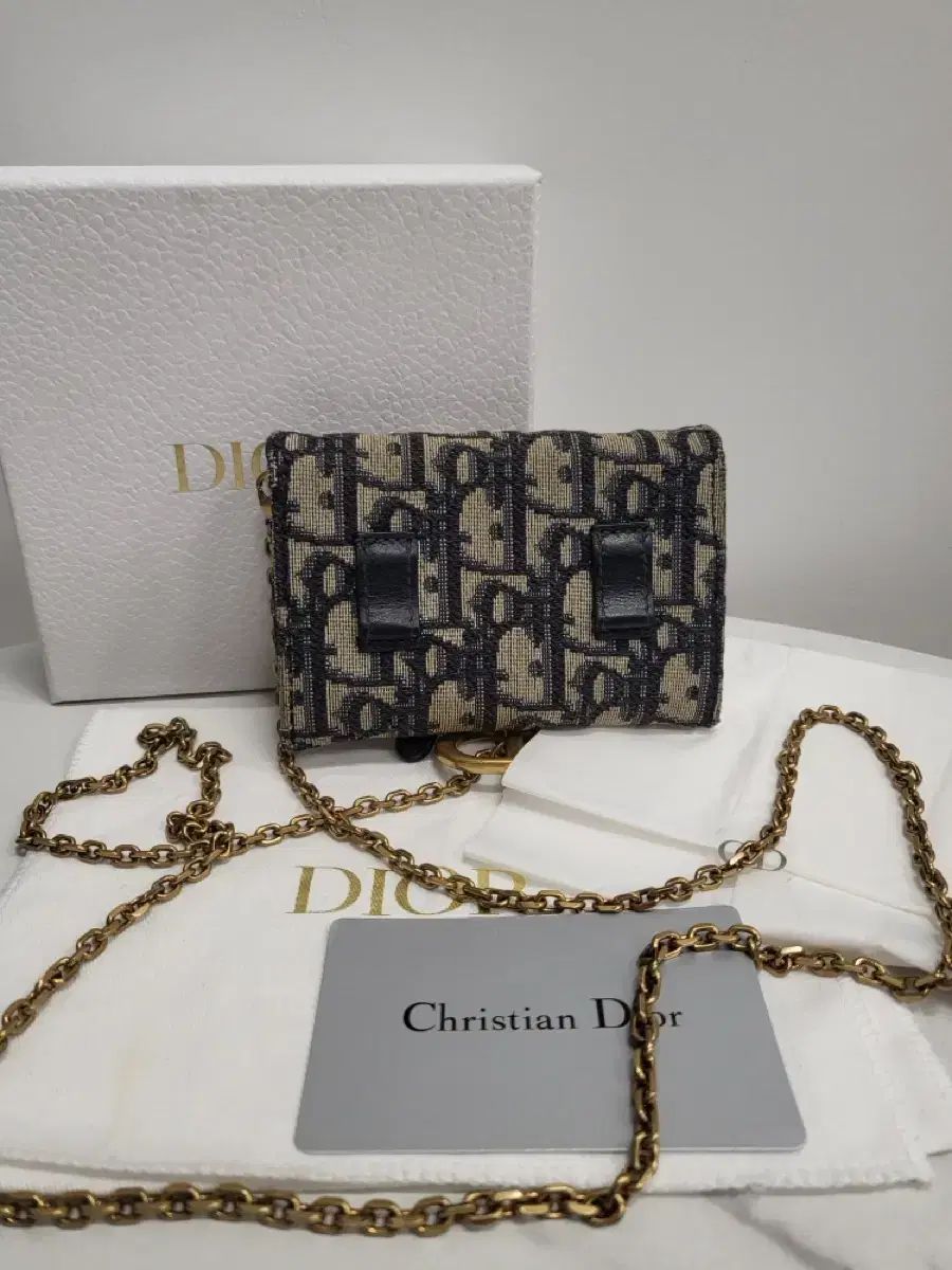 純正品 フル構成 Dior ディオール チェーン ナノ ポーチ