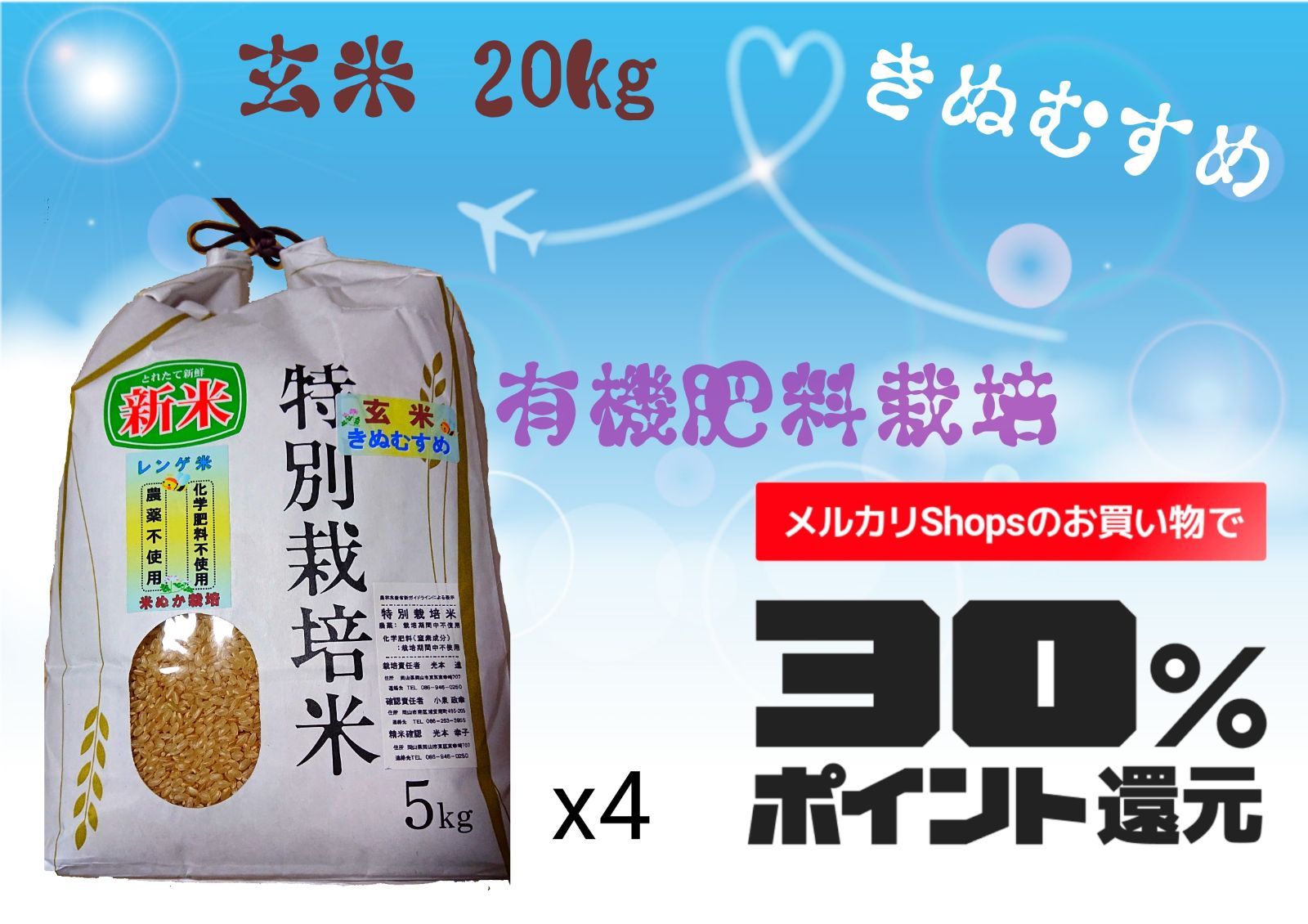 30キロ】 山口県産 令和4年米 一等米 きぬむすめ - 食品