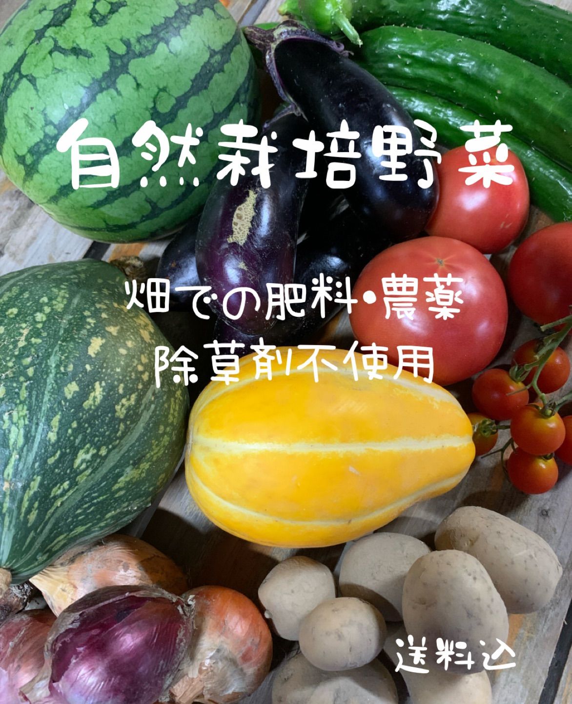 ♣︎冷蔵便♣︎ 自然栽培野菜☆スイカ入り大収穫セット☆ 畑での肥料