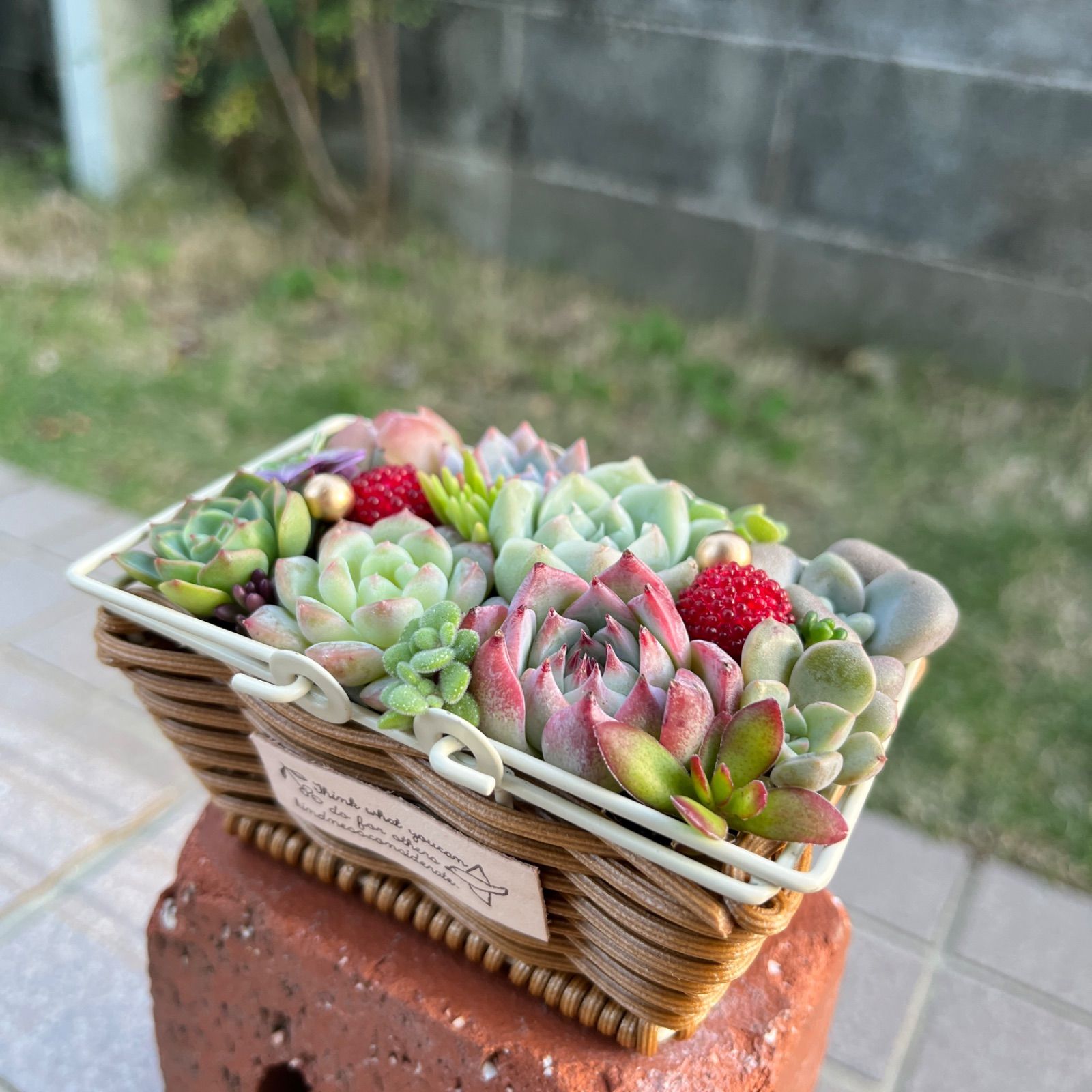 ♡そのまま飾れる♡カゴバスケット♬可愛い多肉植物寄せ植え╰(*´︶`*)╯♡ - メルカリ