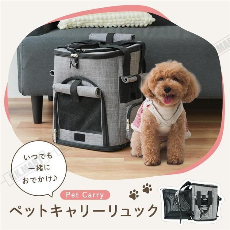 猫 犬