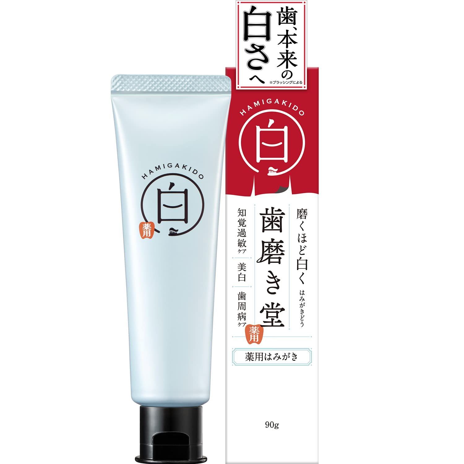 90g フレッシュミント味 ペースト 歯周病ケア ホワイトニング 薬用 歯磨き粉 歯磨き堂 【医薬部外品】