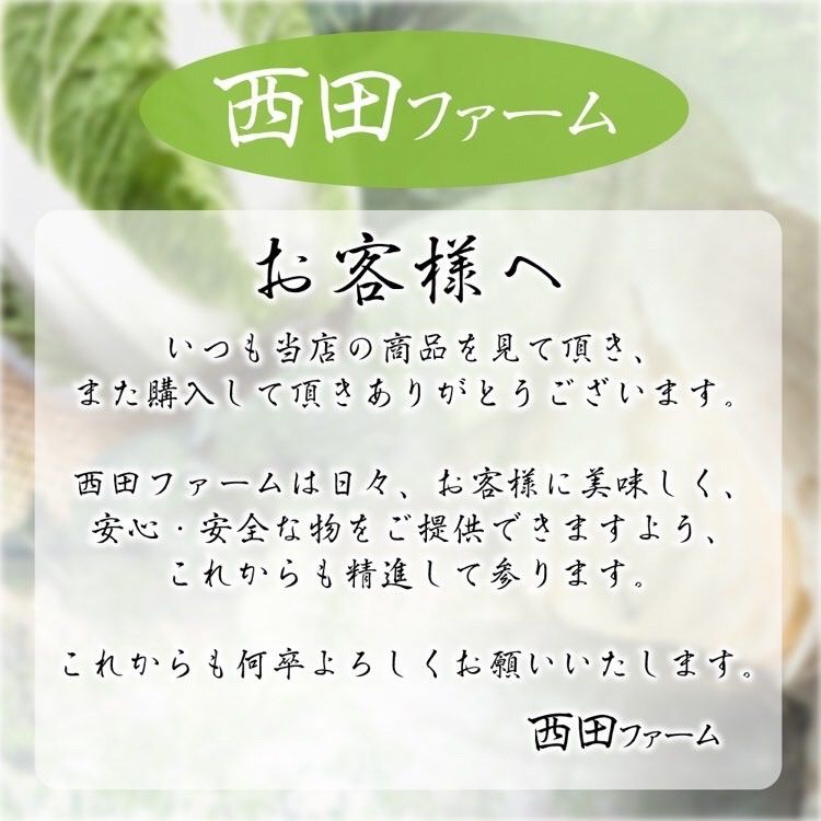 熊本県八代産 令和4年新米 森のくまさん 20kg - 米