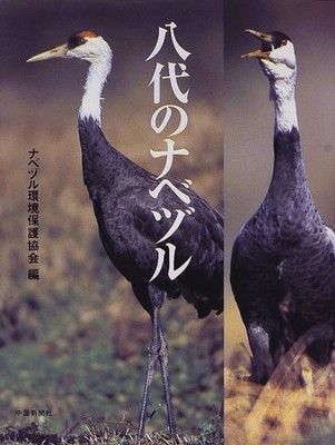 【中古】八代のナベヅル