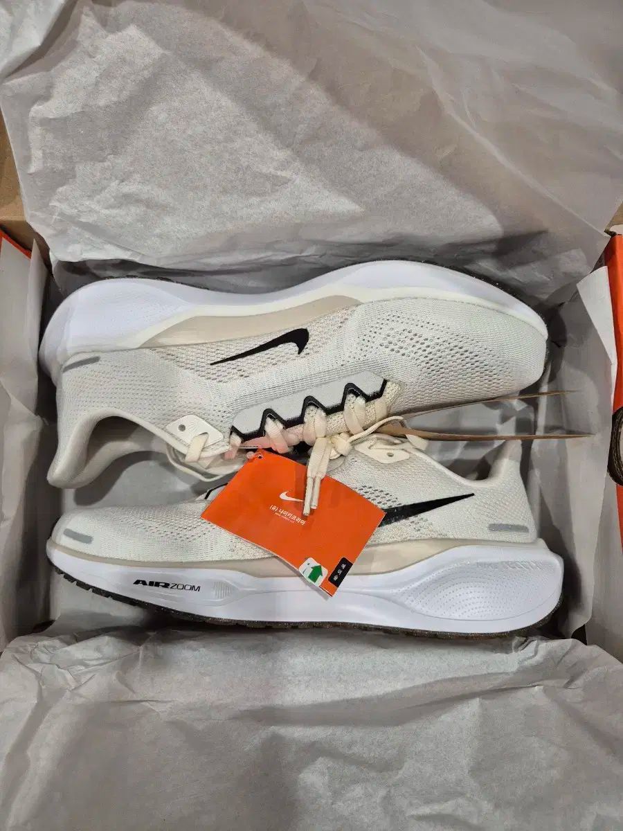 NIKE ナイキ ペガサス 41 fd2722 ー 111