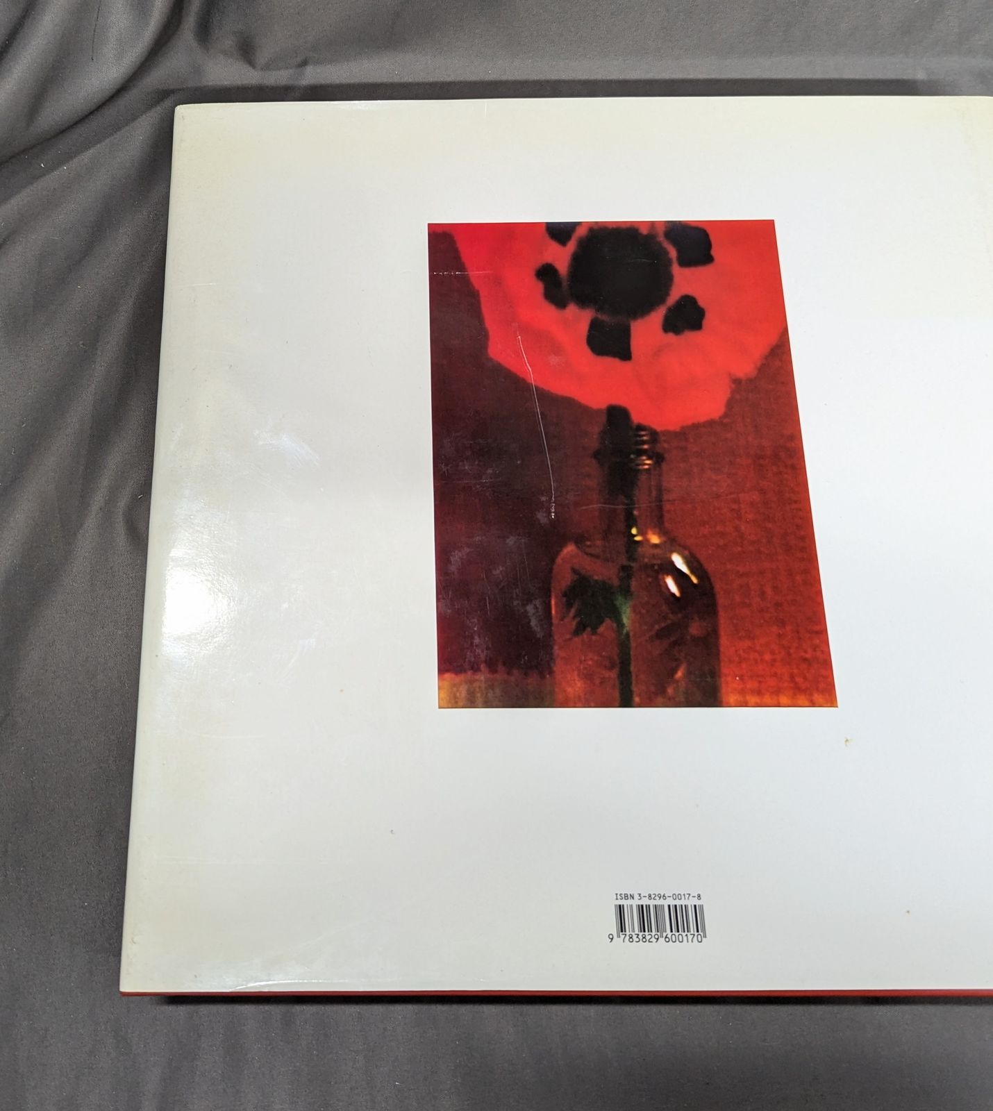 Sarah Moon Zufallige Begegnungen