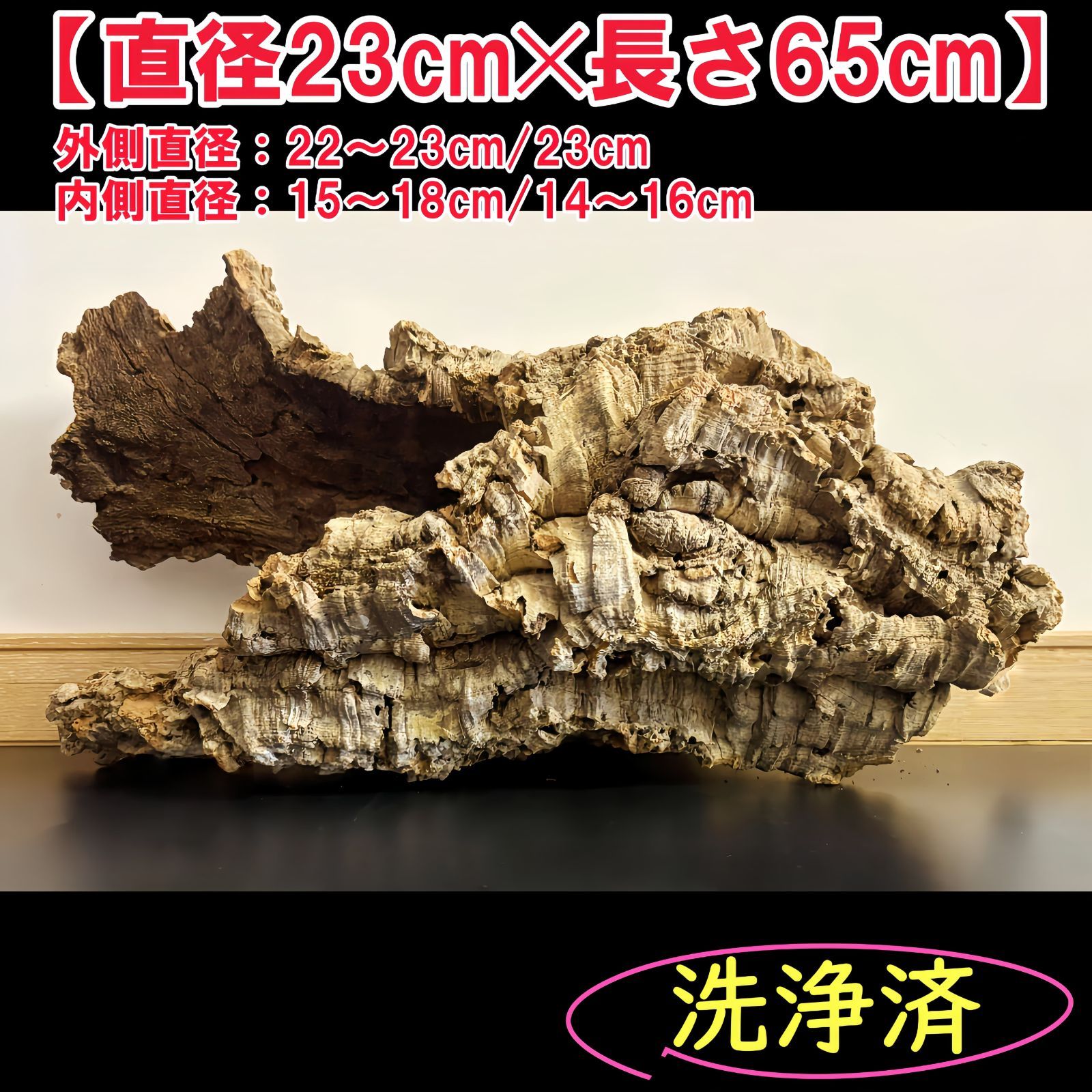 両生類