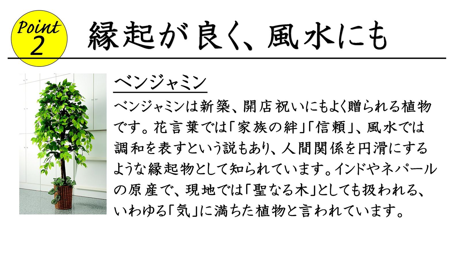 幅70×高さ160cm フェイクグリーン