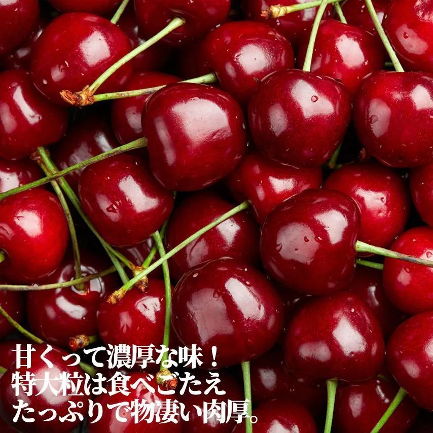 大粒2Jサイズ ニュージーランド|チリ産
