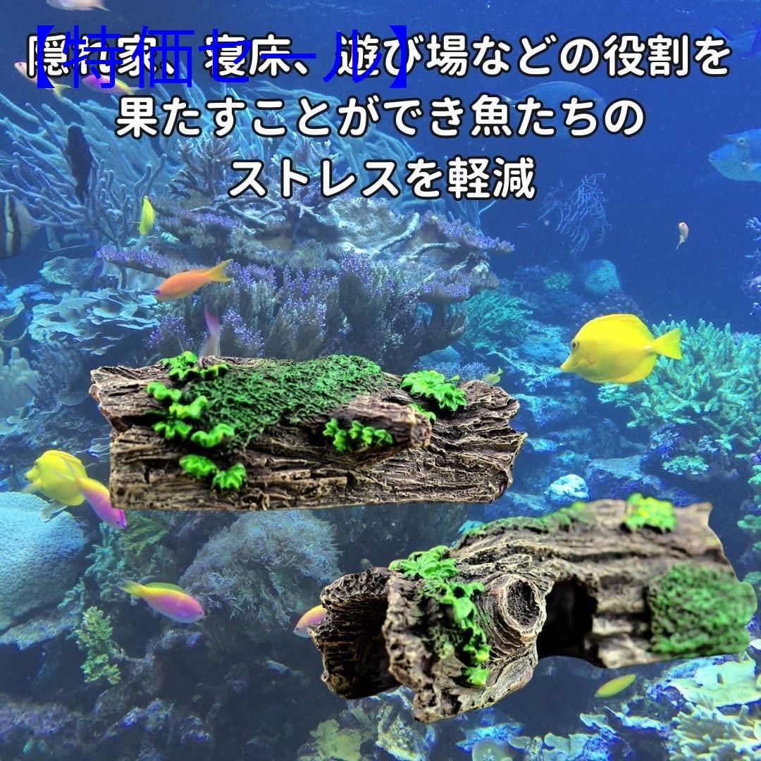 在庫処分】EINEY アクアリウム オブジェ 流木 水槽用 流木 隠れ家 老木