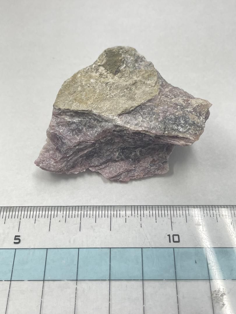 ANDMARY トートバッグ コンビニ、ATM支払い❌