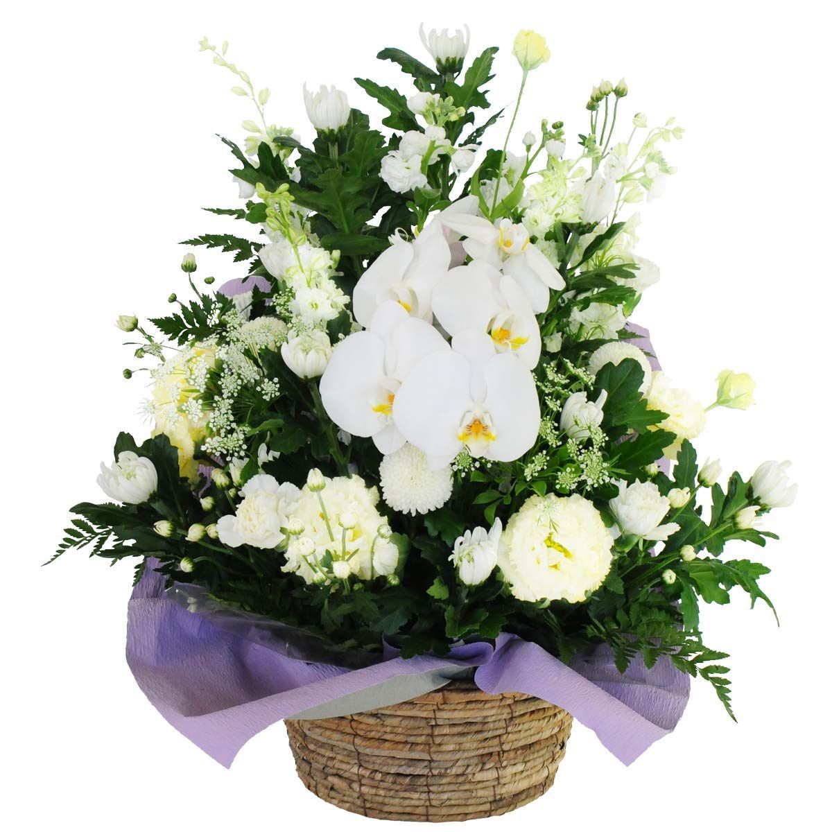 新着商品 喪中はがきが届いたら 仏花 お供え 法事 法要 仏壇 供花 生花 胡蝶蘭 お供え花 アレンジメント サイズで選べる 色合いで選べる 花工房エーデルワイス Mサイズ 白を中心に