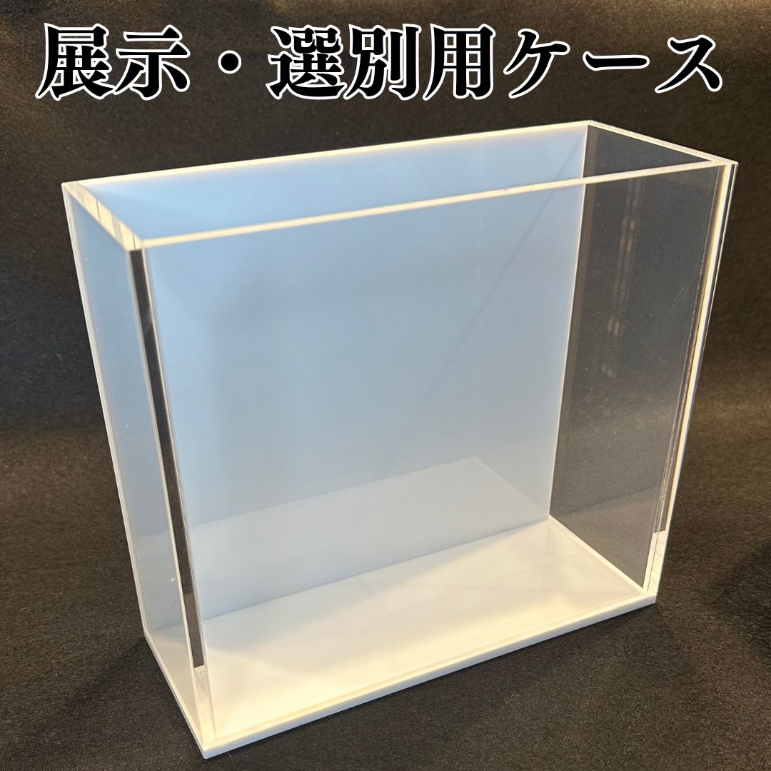 五藤めだか】展示販売AB品(白) メダカ用 ケース 撮影 横見 - メルカリ