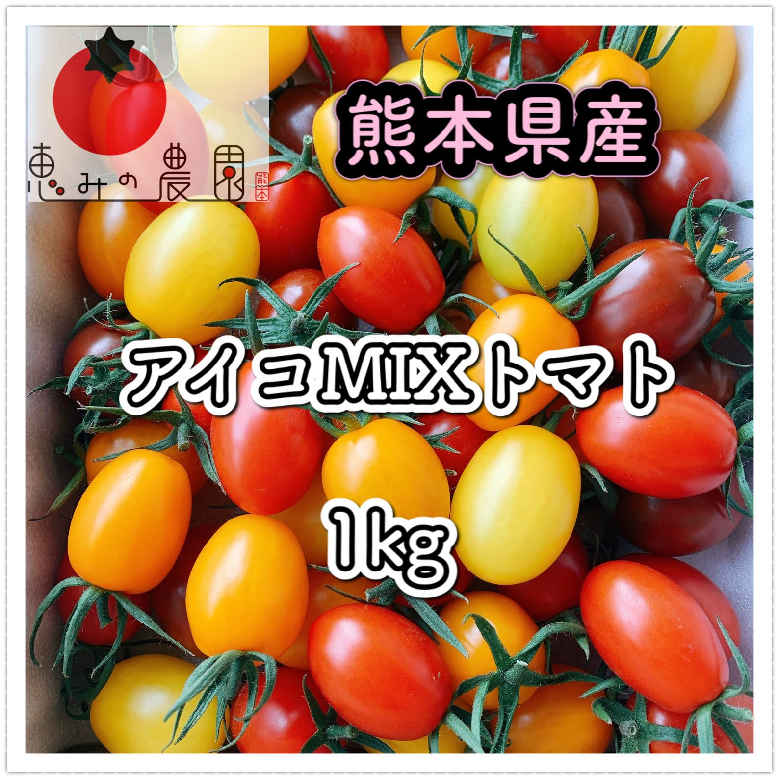 熊本県産アイコトマト6キロ